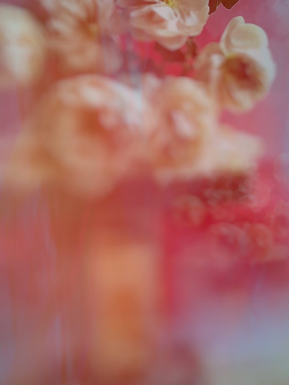 Mabel - Ashley Woodson Bailey