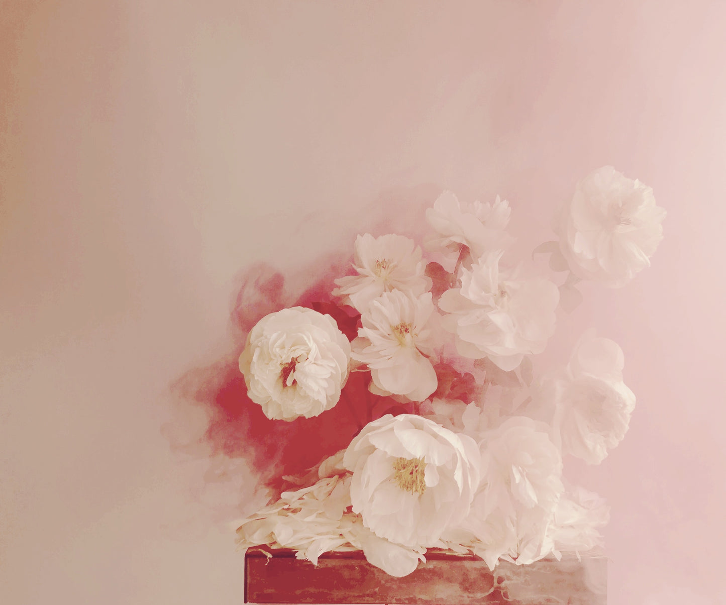 Fire Inside - Ashley Woodson Bailey