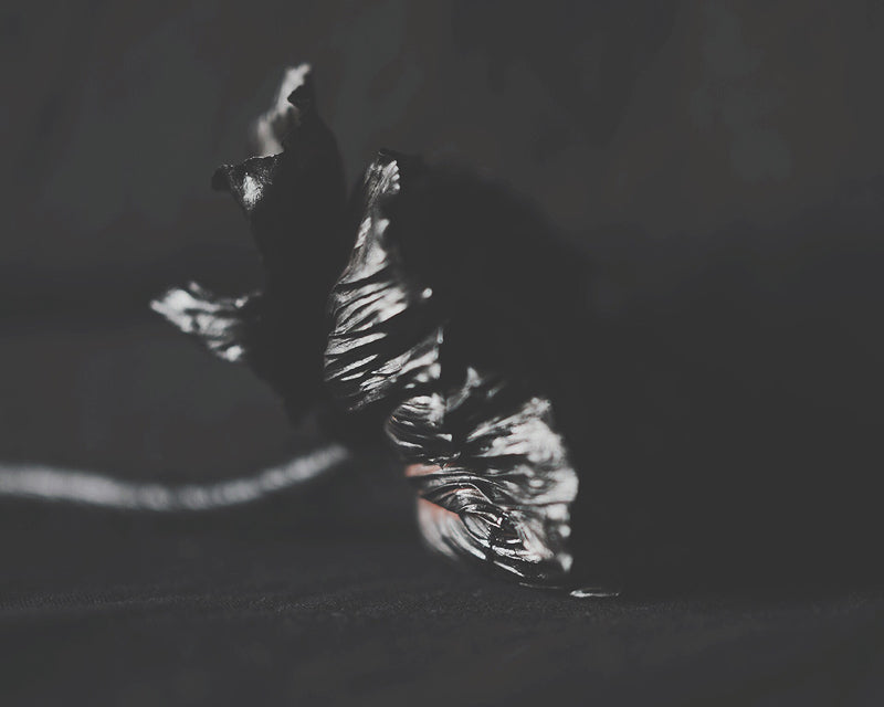 La Flor Negra Dark Floral Print - Ashley Woodson Bailey