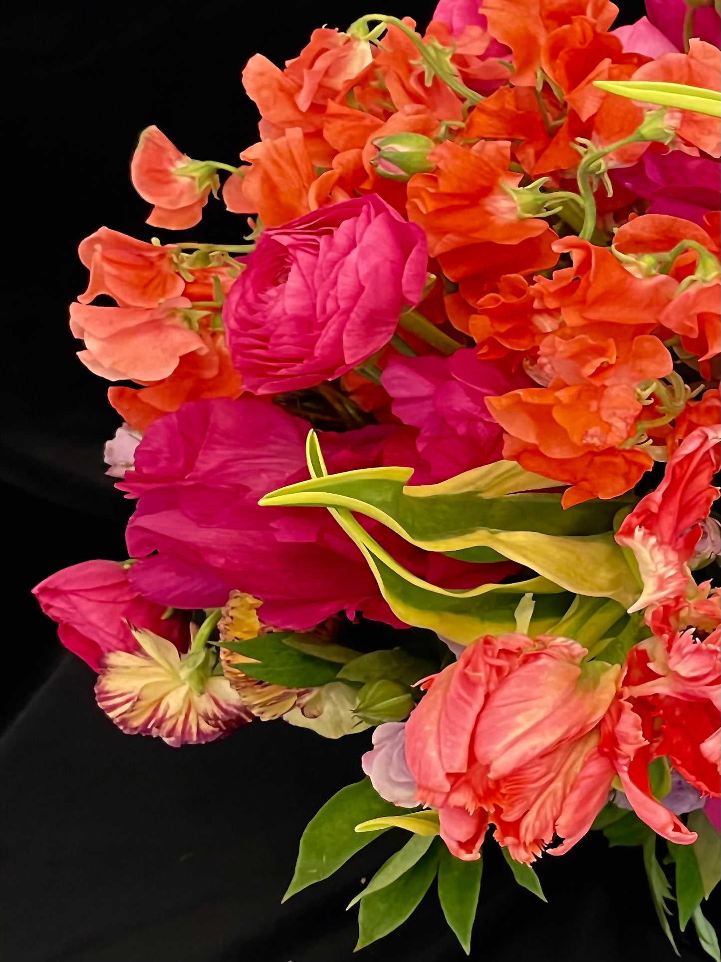 Fiesta Bowl - Ashley Woodson Bailey