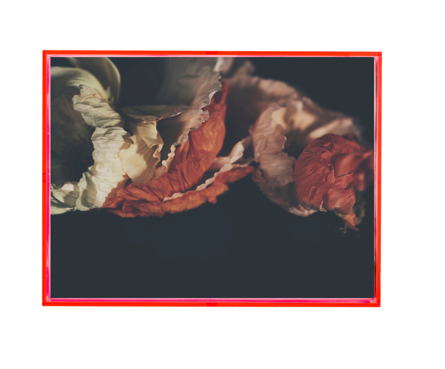 Layers Dark Floral Print - Ashley Woodson Bailey