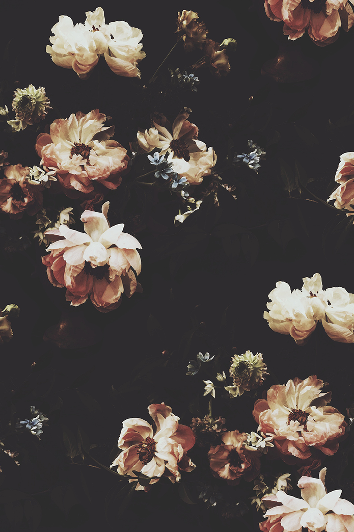 black floral wallpaper tumblr
