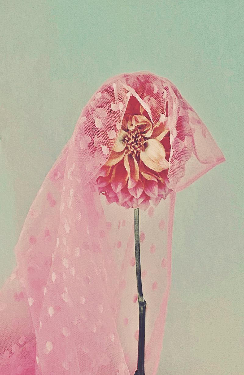 Veiled