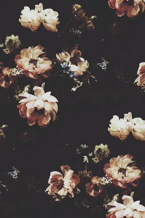 The Hunt Dark Floral Wallpaper | Ashley Woodson Bailey