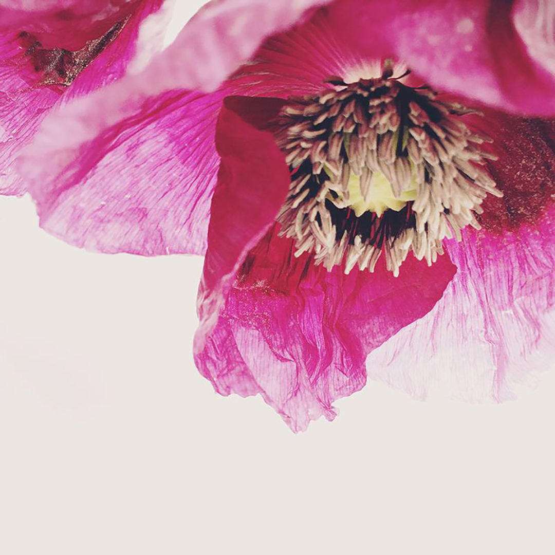 Yes, Please Light and Vibrant Floral Tray - Ashley Woodson Bailey